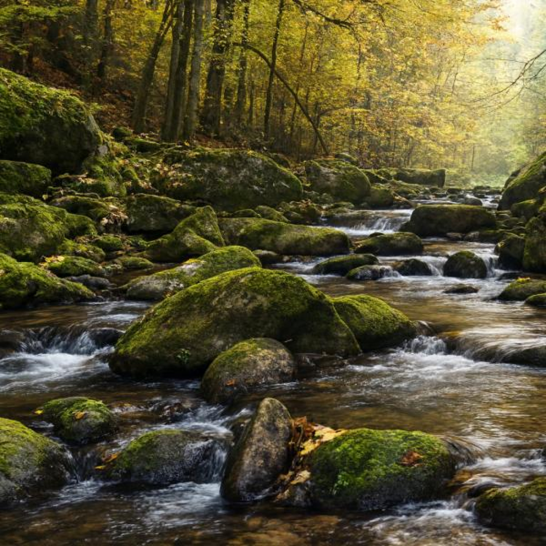 Wanderung Buchberger Leite